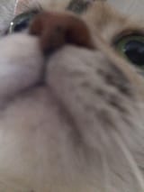 1609706775458