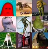 لو-هجم-عليك-الحافوزليق-v0-0ni63ktfkr4e1