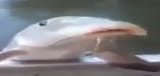 1702148453603
