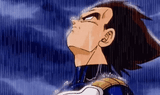 vegeta