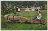 Los_Angeles_Alligator_Farm_(ca._1907)_02