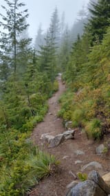 pnw