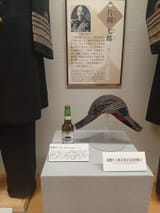 IMG_COM_202506301034410090