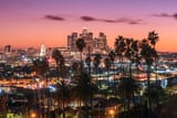 lax