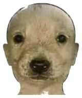 1722488726448825
