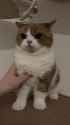 1741265762070383_thumb.jpg