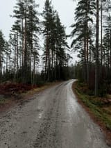 IMG_20250630_12583611