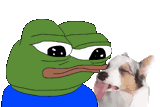 1732027037676678