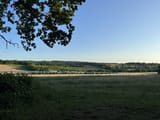 IMG_1413