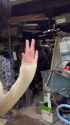 @leezyhaein korean_thumb.jpg
