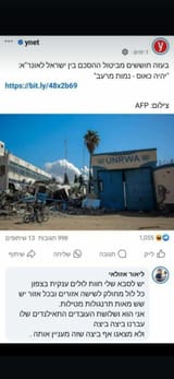 ביצים