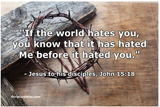 if the world hates you