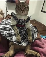 1738358316647765