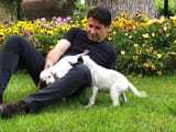 conte_cani-1