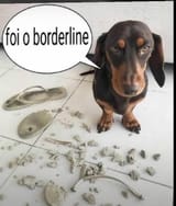 images (4)