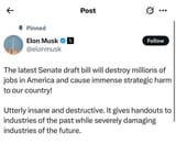 elon big beautiful bill