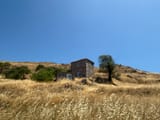 IMG_3566