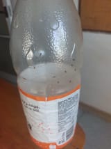 1729708542739671