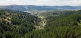 Silverstream Forest Upper Hutt, NZ
