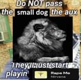 1000014239