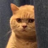 1612796565744
