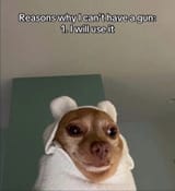 134236644688t5