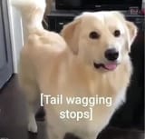 1747523126590080
