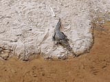 IMG_20240415_164516232