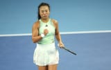mimi-xu-2024[1]