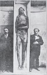 Giant