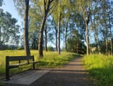 IMG_20250701_053456469~3