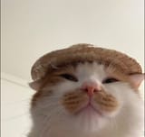 IMG_20250630_204550