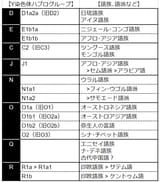 Yハプログループ