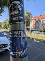 1728517286426061