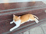 IMG_3567
