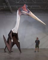 right so like it weighs 50 tons and it can fly and shit and can eat mammoths and whales trust me bro