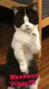 VID-20250629-WA0003_thumb.jpg