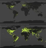 comparison-of-steam-download-activity-in-2013-top-and-2025-v0-oaslmg6l6w7f1