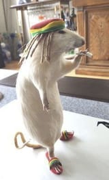 IMG_20241007_115659_200