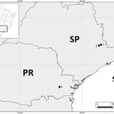 Sao Paulo and Parana