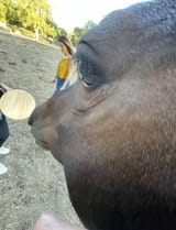 1749250810182527