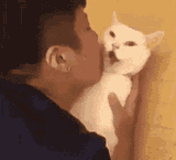 cat-kiss