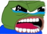 1734772342555838