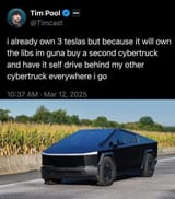 tim pool tesla