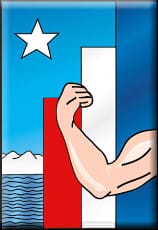 Movimiento_Nacional_Socialista_de_Chile