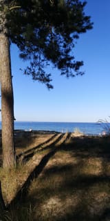 IMG_20250701_182648