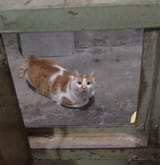 JAIL