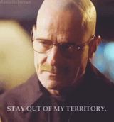 breaking-bad-stay-out-of-my-territory-3952295198