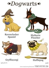 dogwarts