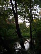 1722047240087177